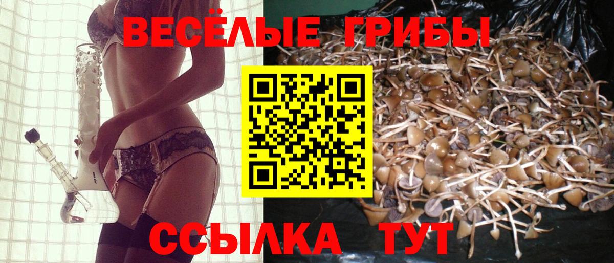 Галлюциногенные грибы GOLDEN TEACHER Лысьва