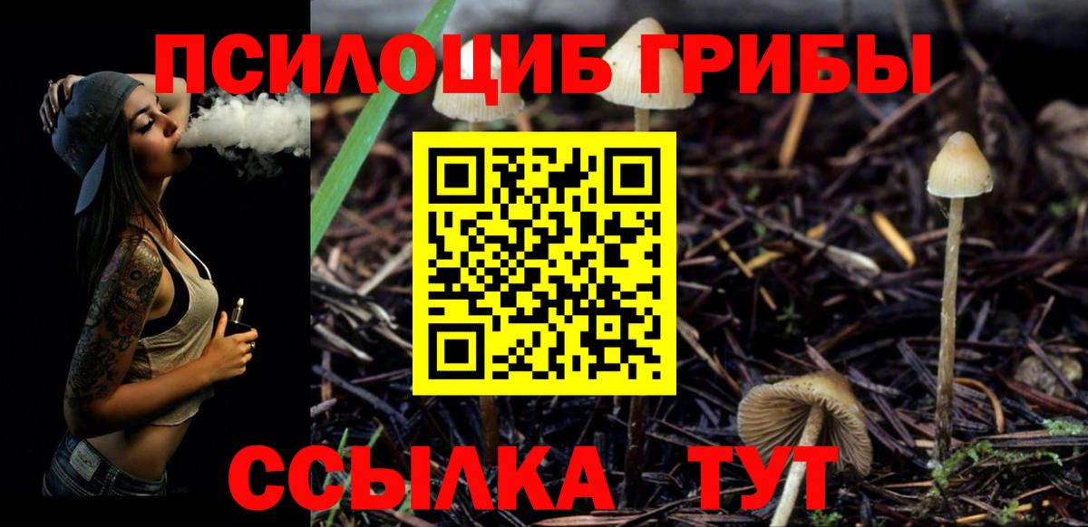 Псилоцибиновые грибы MAGIC MUSHROOMS  Вход с VPN  Лысьва 
